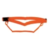 Swim Secure - Waist Belt And Leash -2XU-shop Waist Belt Leash 68069.1635150853